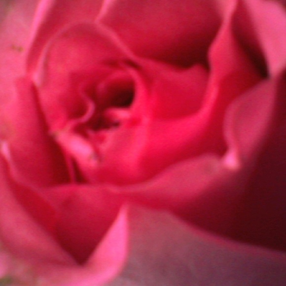 Meet your Posher, Crystal - Picture 1 of 1